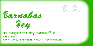 barnabas hey business card